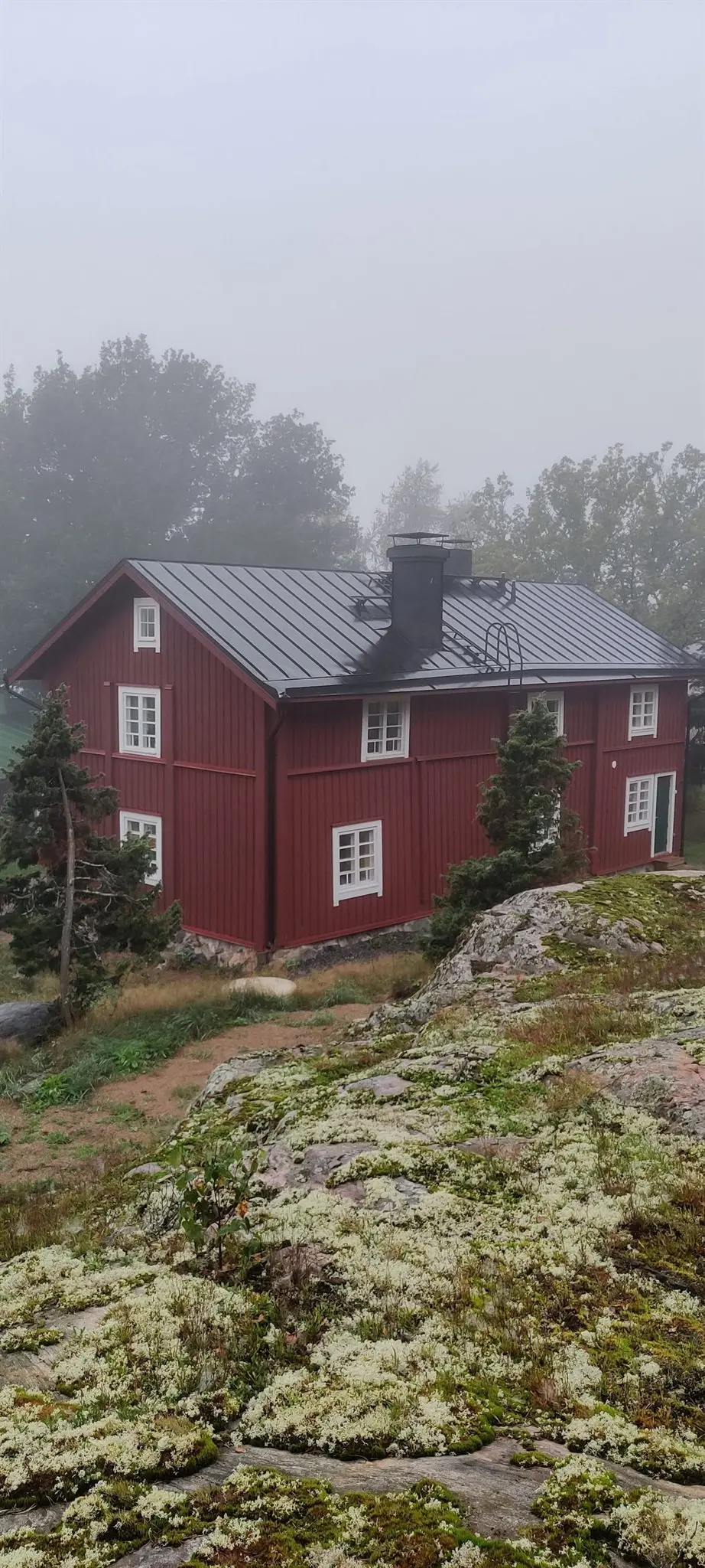 Punamullattu päärakennus sumuisena aamuna kalliolla, poronjäkälää ja katajia edessä