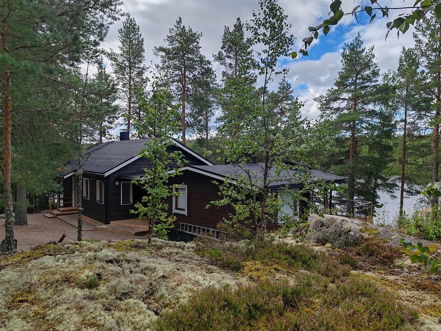 Tummaksi maalattu loma-asunto männikössä järven rannalla