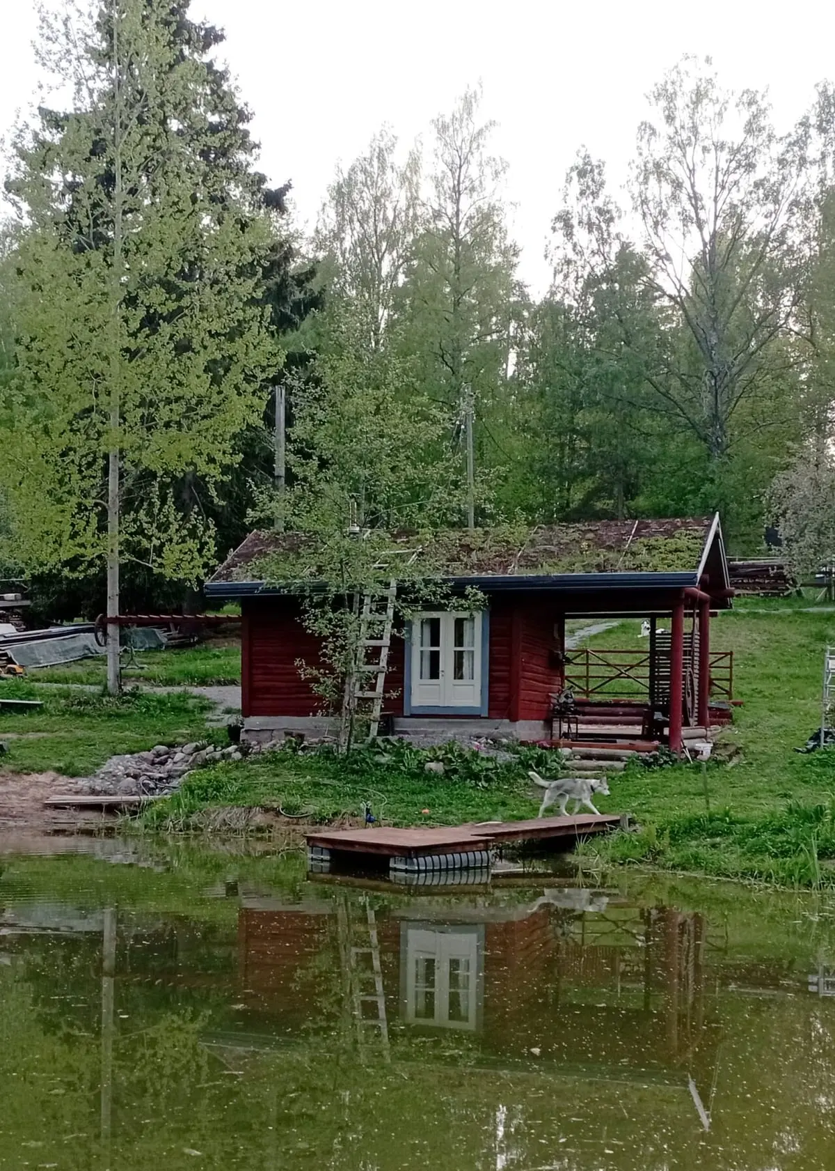 Kunnostettu viherkattoinen sauna terasseineen tekolammen rannalla
