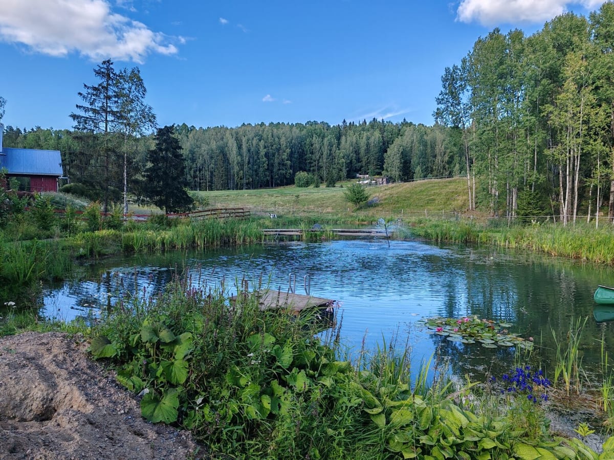Valmis tekolampi laitureineen ja lumpeineen kesäpäivänä